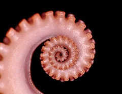 spiral left